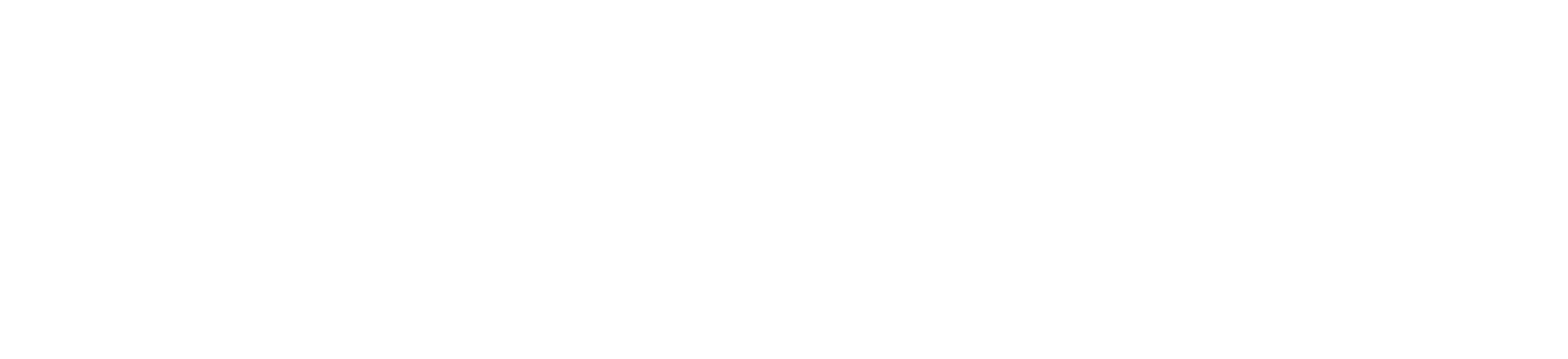 Hollo Gymraeg Logo White